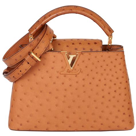 louis vuitton ostrich backpack|Capucines Bb Ostrich Leather .